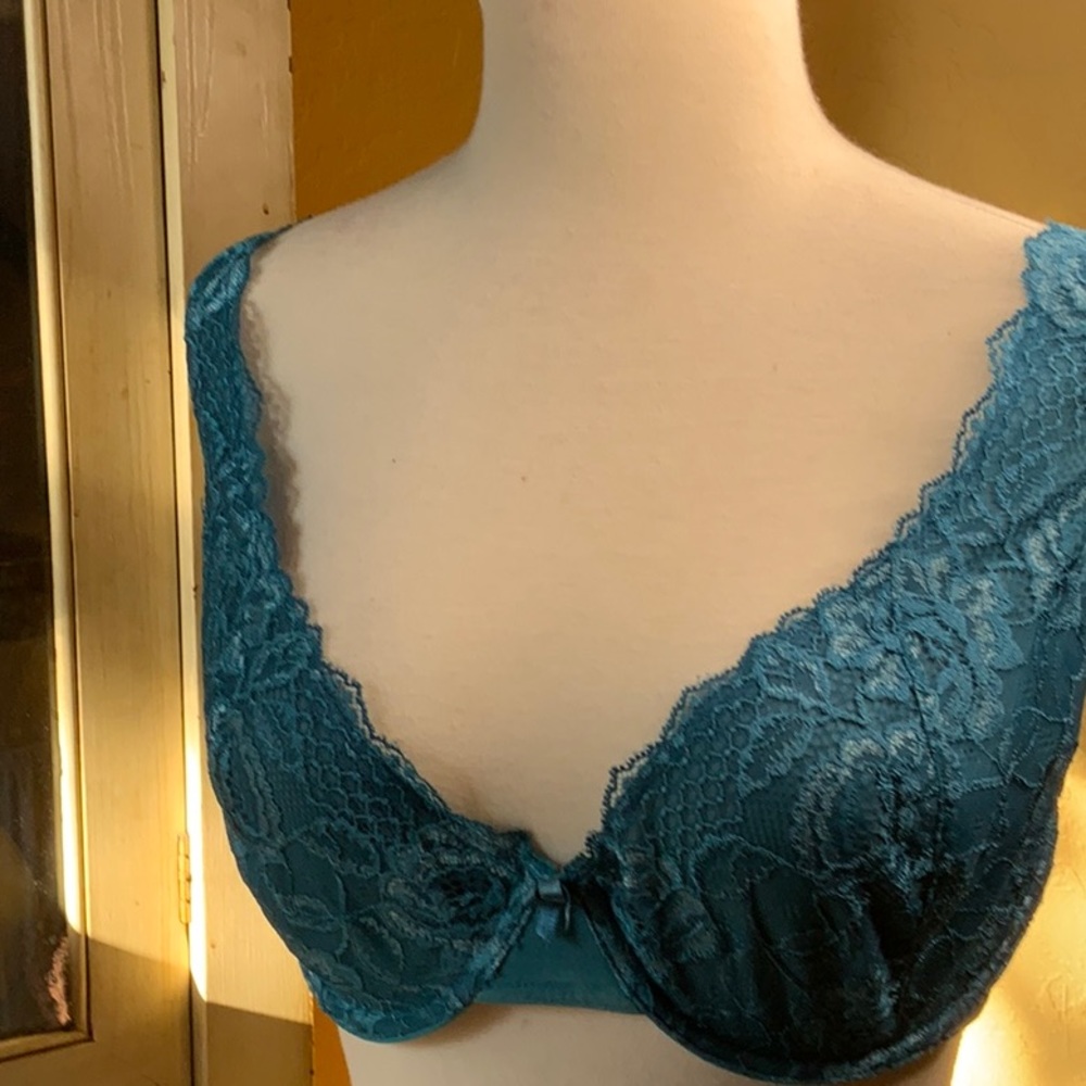 Felina lingerie 38D